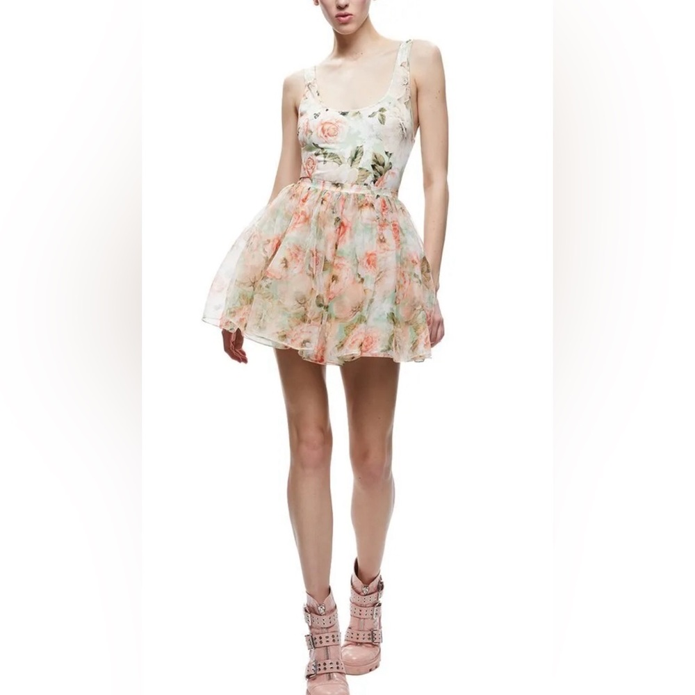 Alice Olivia Dress sz 10 New